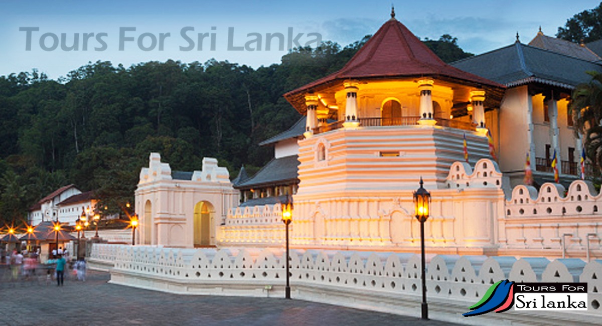 Kandy Peharahara, Kandy temple, Kandy forest 