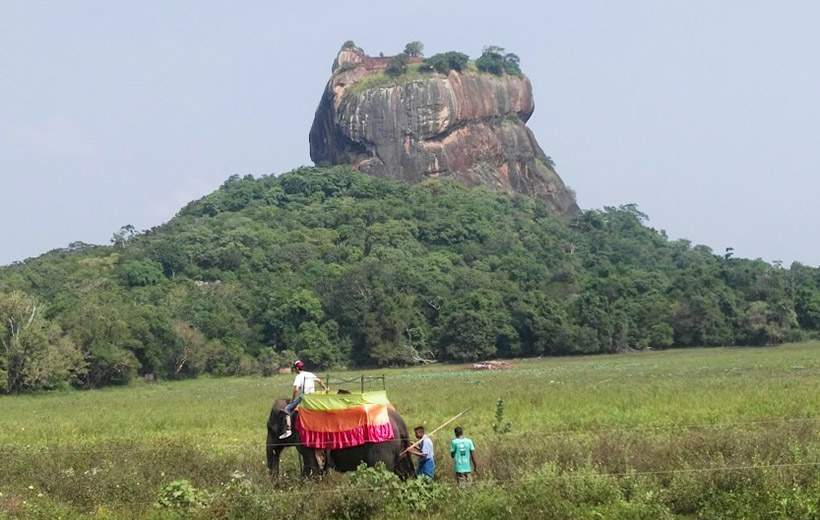 Sigiriya Rock and Minneriya National Park